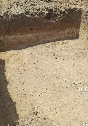 WhatsApp Image 2024-12-17 at 9.55.19 PM