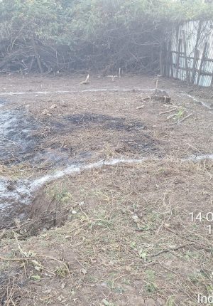 WhatsApp Image 2024-12-17 at 9.55.21 PM