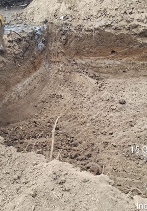 WhatsApp Image 2024-12-17 at 9.55.22 PM (2)