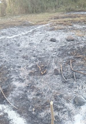 WhatsApp Image 2024-12-17 at 9.55.22 PM